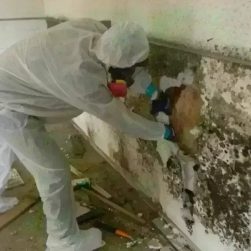 Mold Remediation and Removal in Laurium, MI