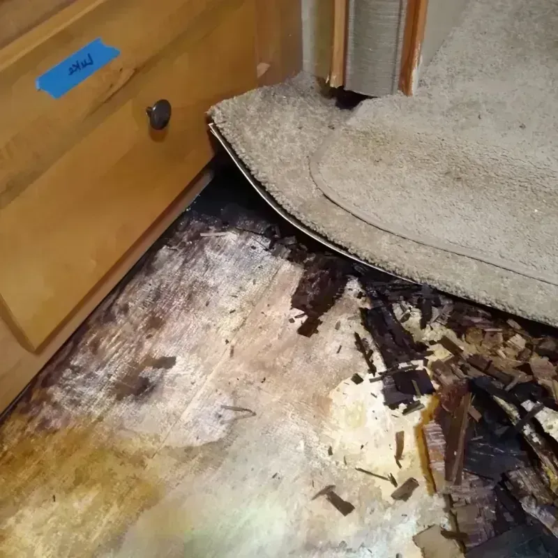 Wood Floor Water Damage in Laurium, MI